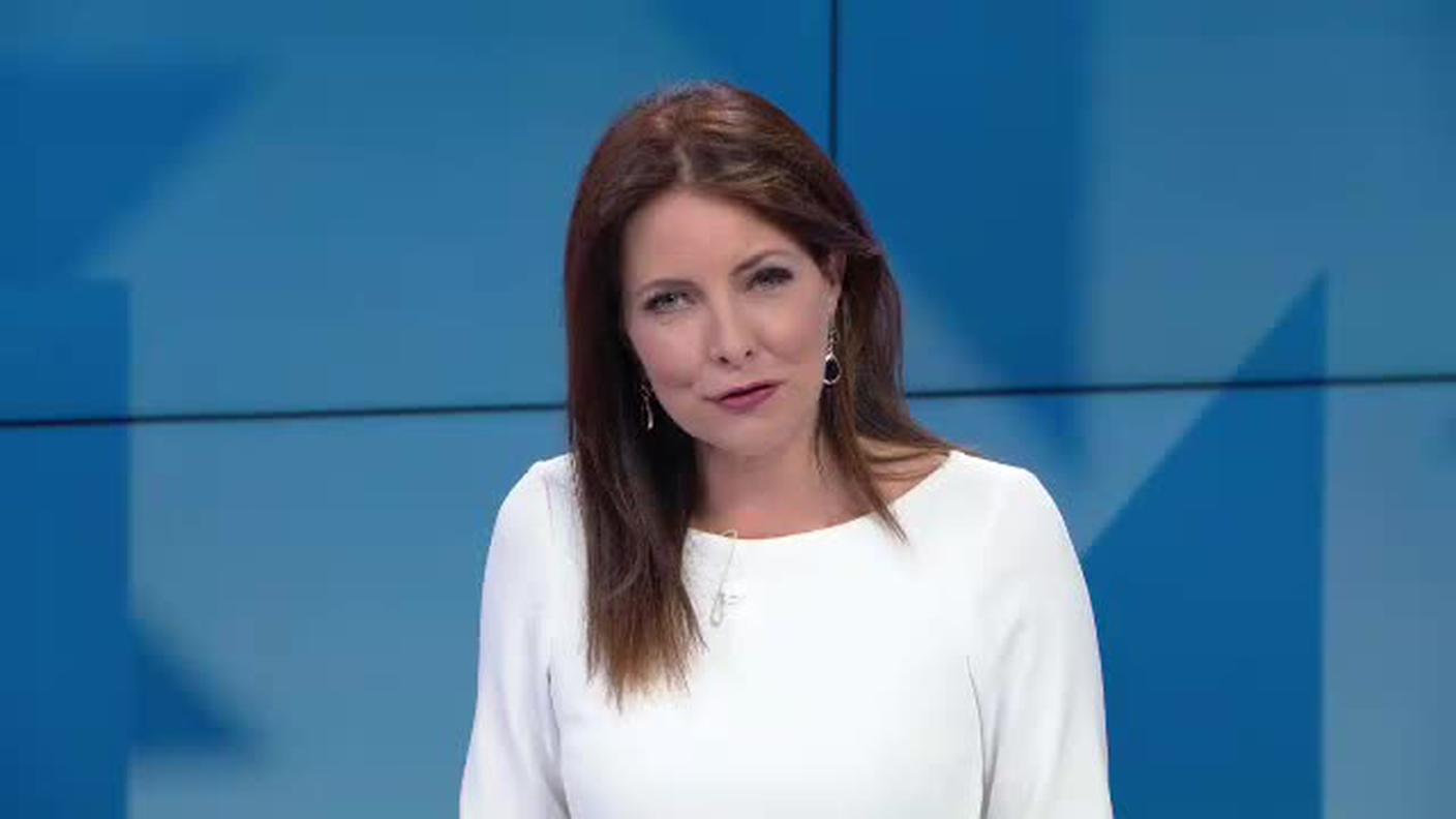 TELEGIORNALE  [La1] 2019-08-30 20:00:00