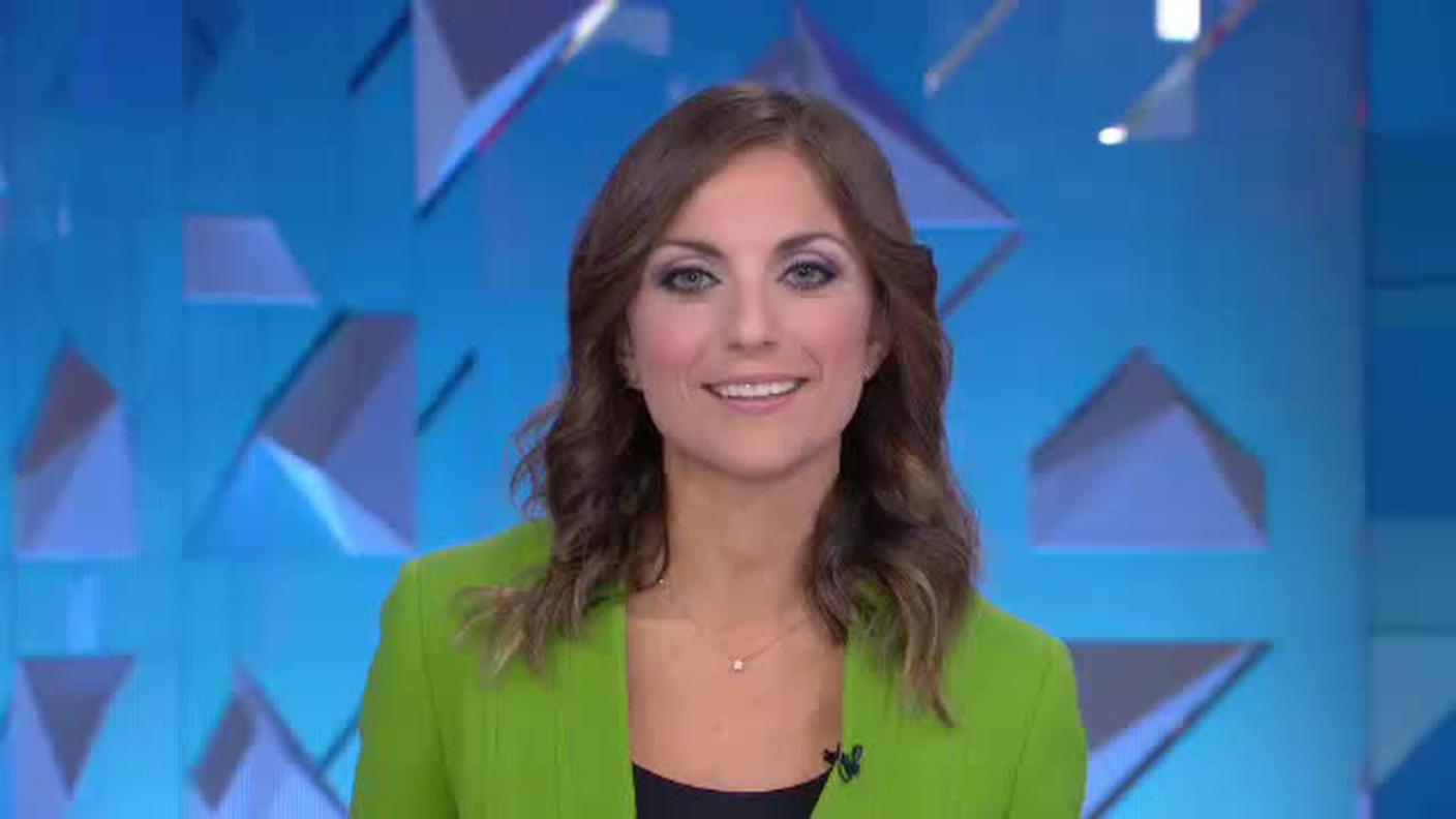 TELEGIORNALE  [La1] 2019-10-16 20:00:22