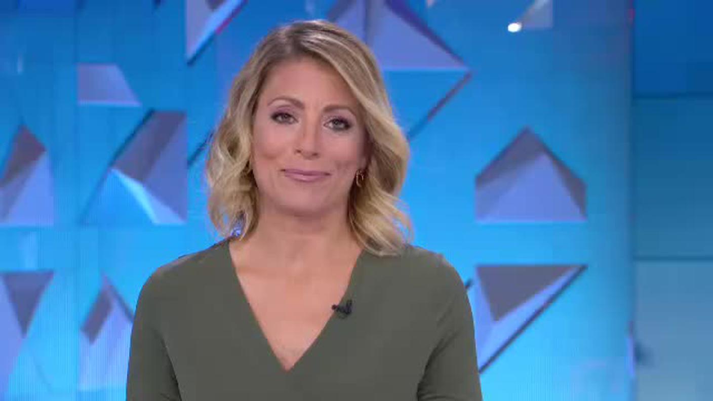 TELEGIORNALE  [La1] 2019-11-06 20:00:11
