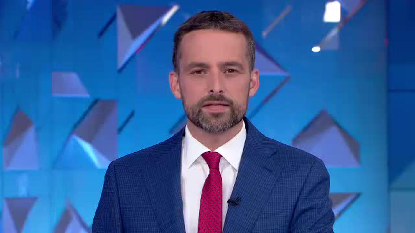 TELEGIORNALE  [La1] 2019-11-15 20:00:39