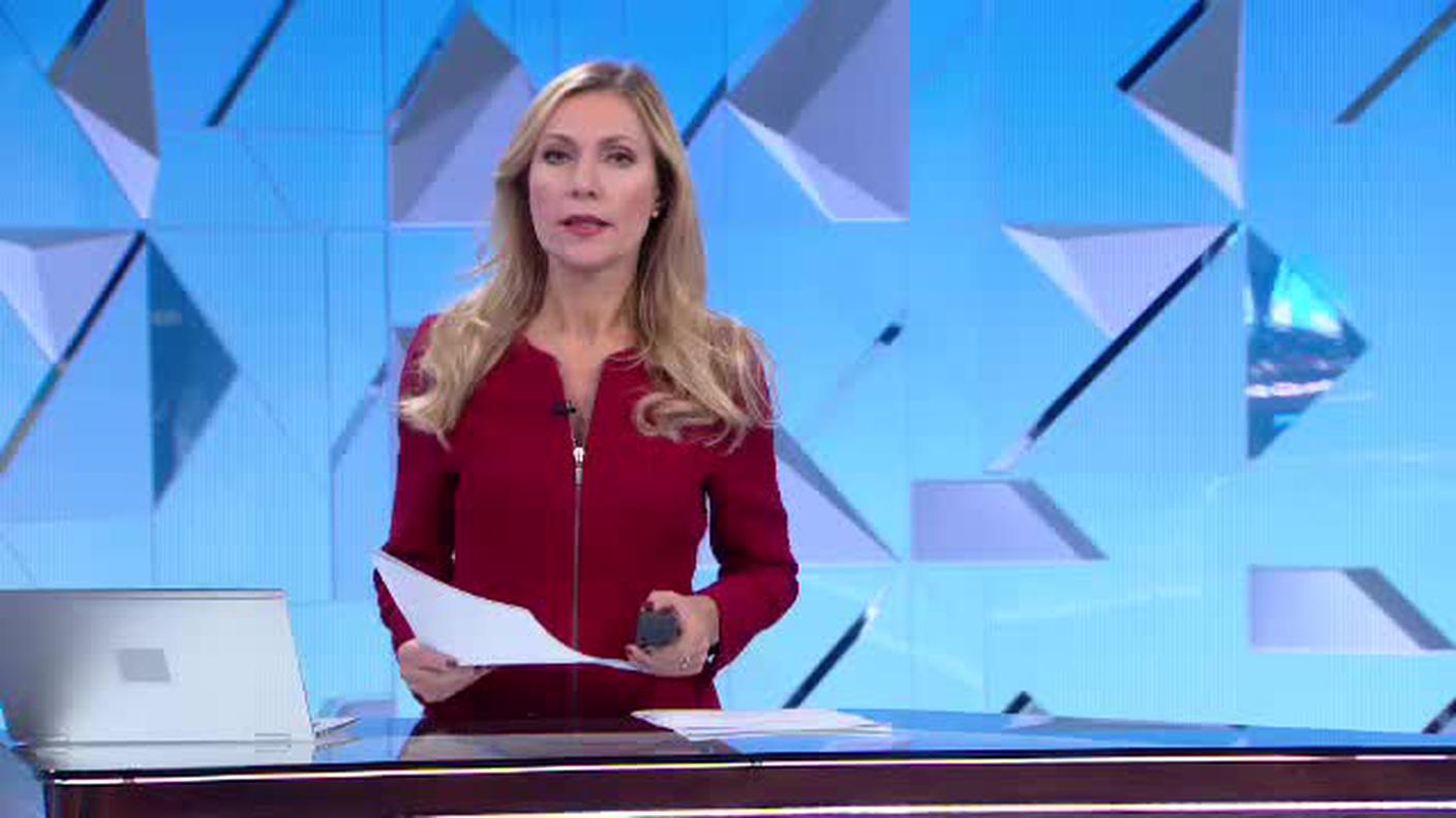 TELEGIORNALE 12:30  [La1] 2019-12-01 12:30:00