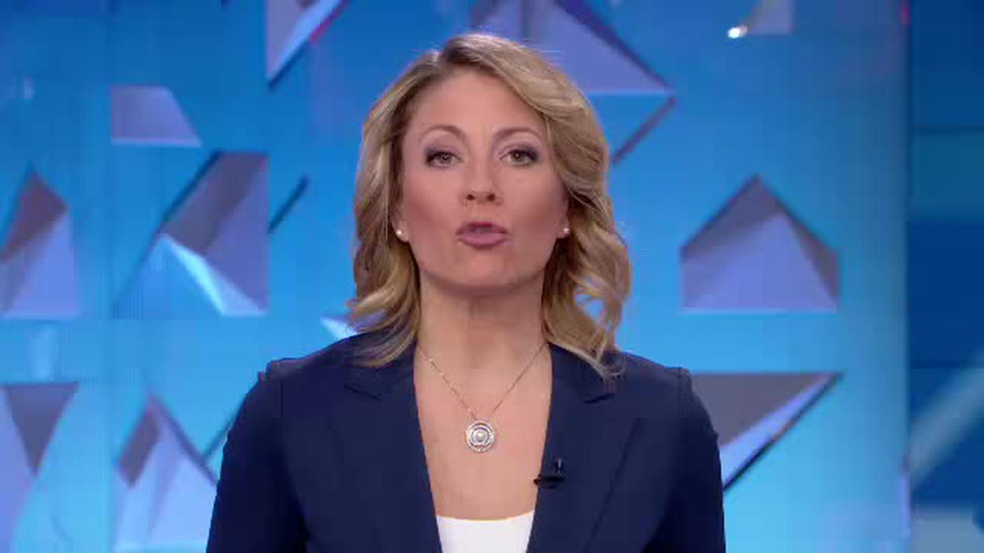 TELEGIORNALE  [La1] 2020-01-11 20:00:00