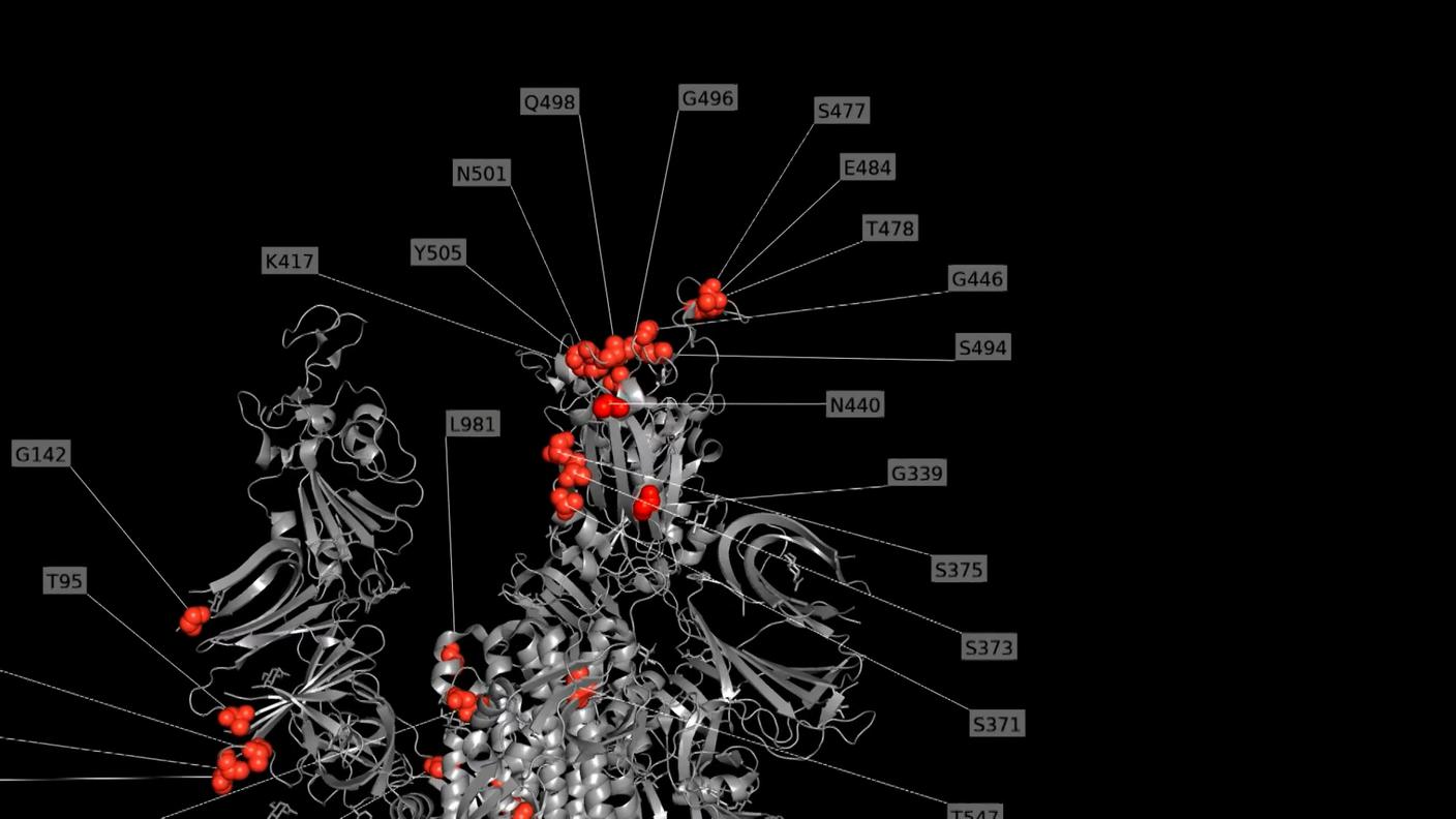 La nuova variante del coronavirus, emersa giovedì in Sudafrica, preoccupa il mondo