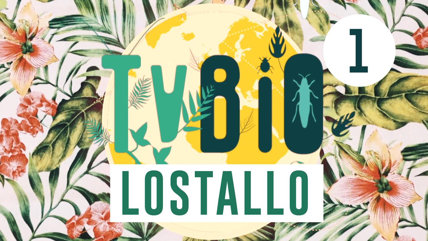 TVBio Lostallo
