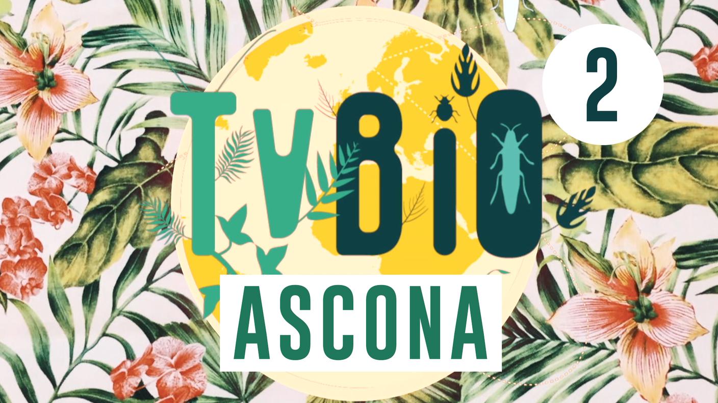 TVBio Ascona 2a edizione