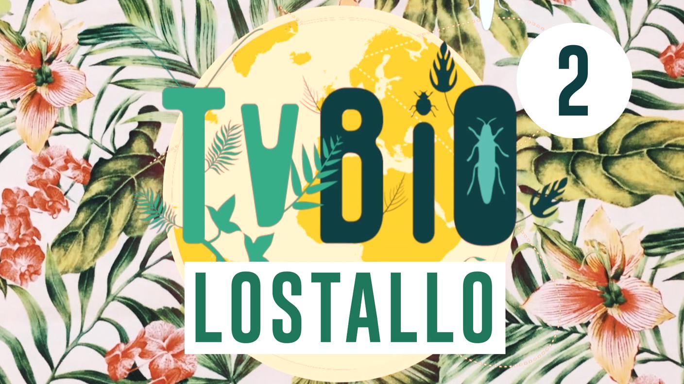 TVBio Lostallo 2a edizione