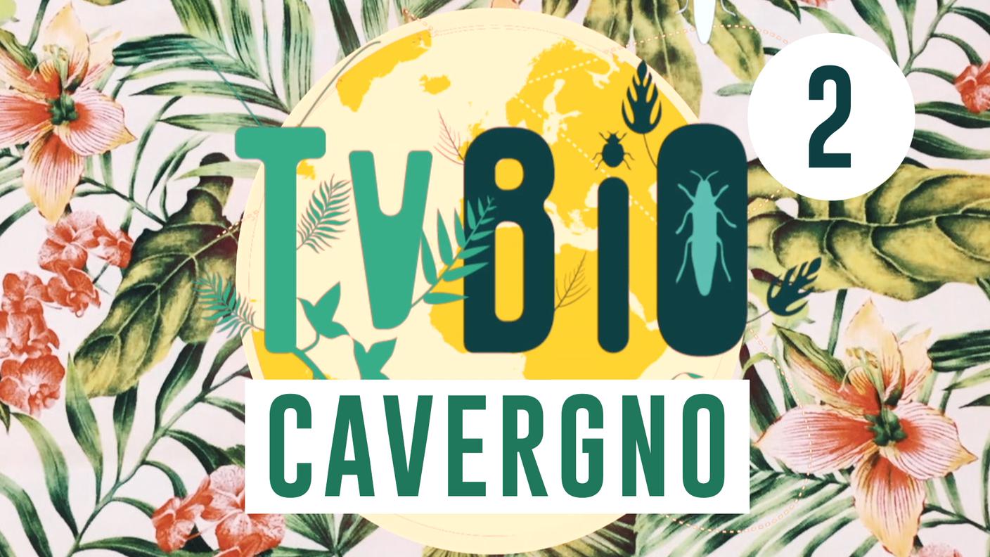 TVBio Cavergno 2a edizione