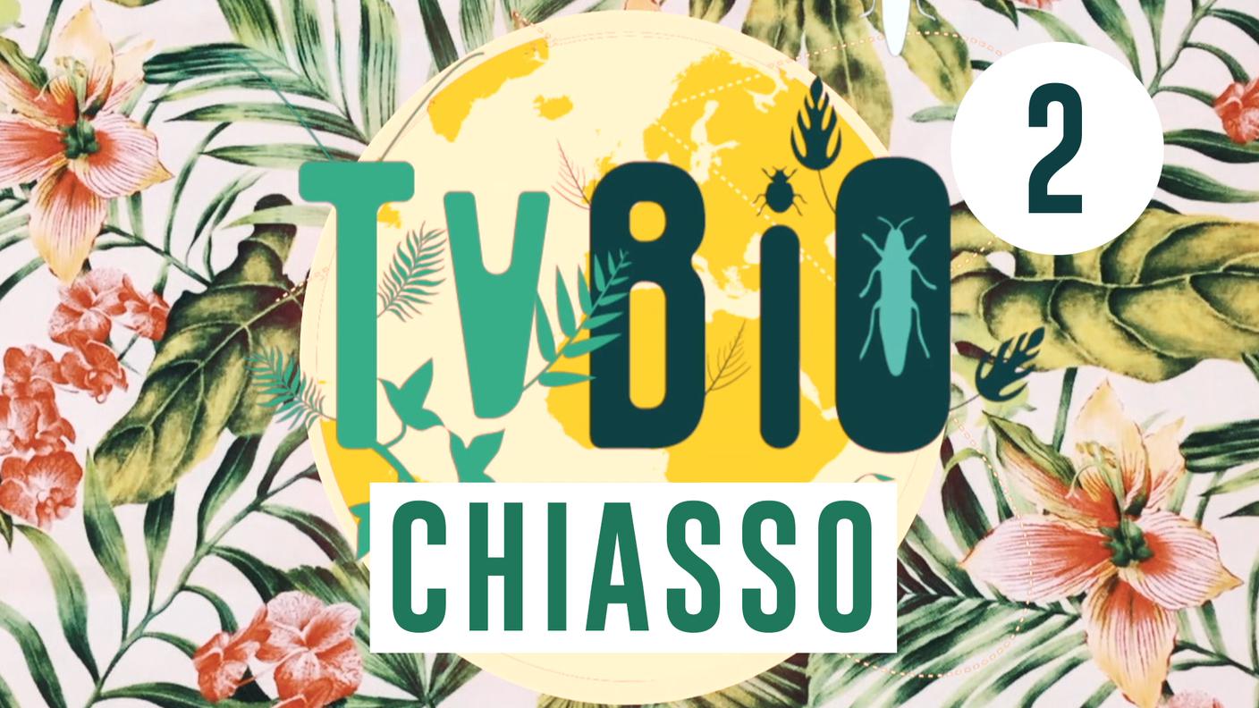 TVBio Chiasso 2a edizione