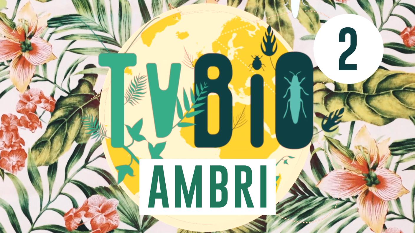 TVBio Ambrì 2a edizione