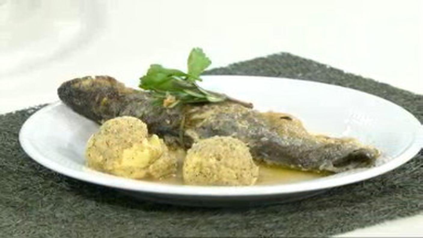 PIATTOFORTE [16.09.10]