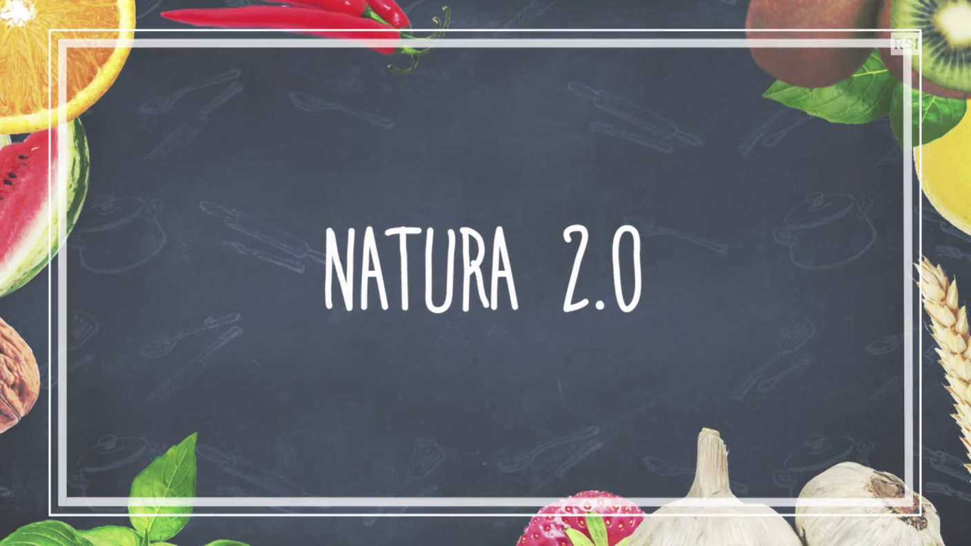 Ricetta in breve - Natura 2.0
