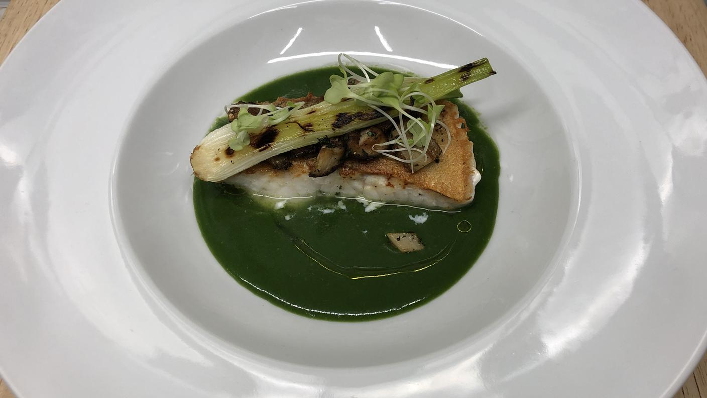 Lucioperca su emulsione di spinaci e verbena con funghi e cipollotto alla griglia