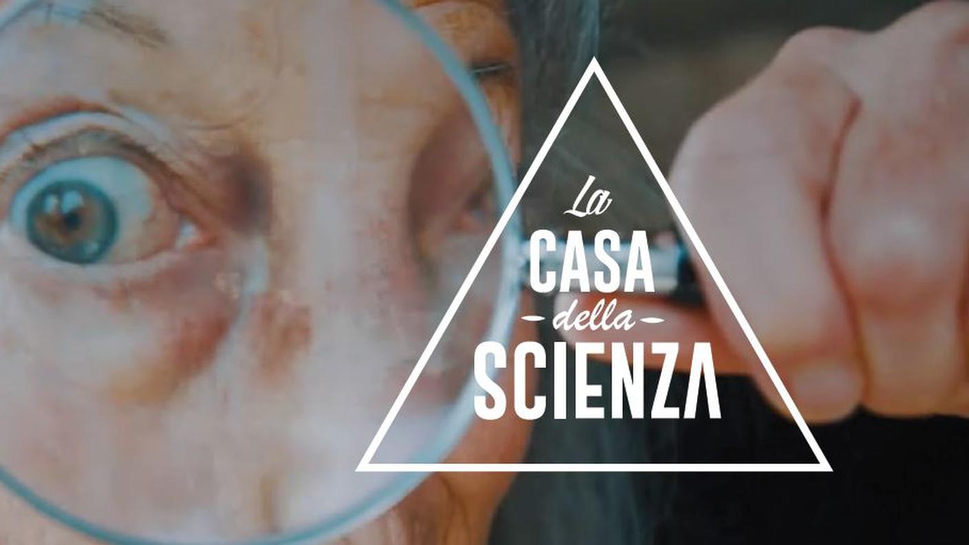 Perché vedo volti ovunque?