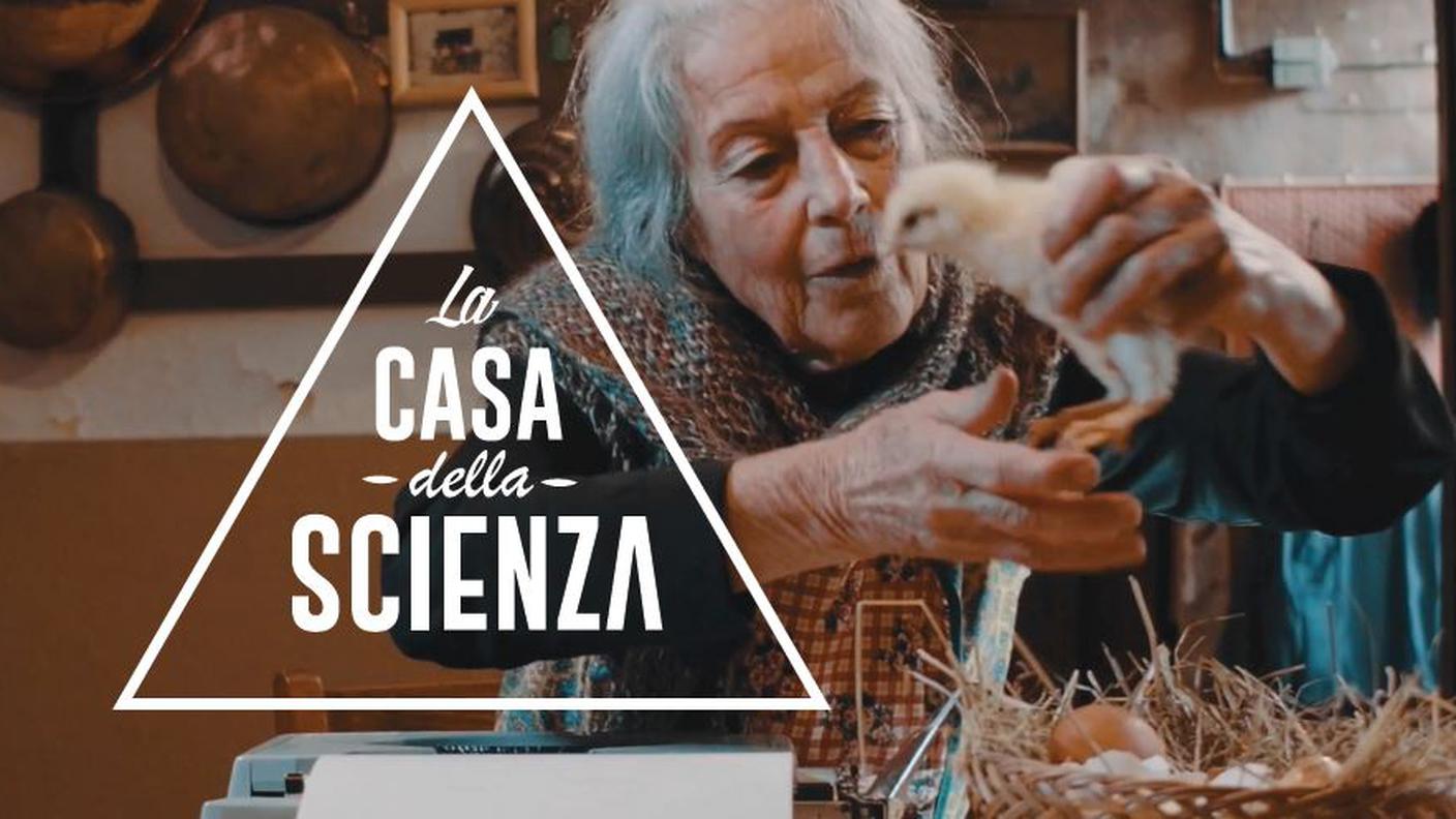 È nato prima l'uovo o la gallina?