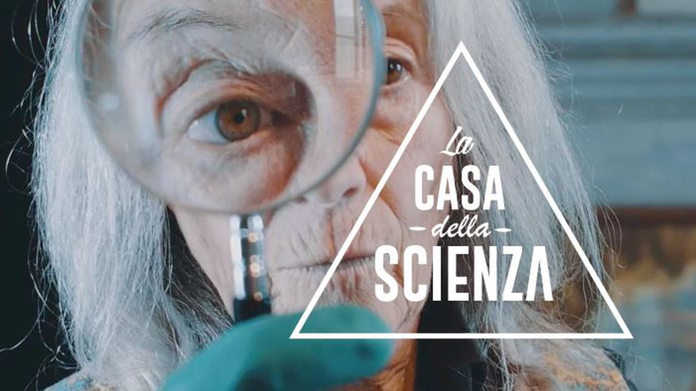 DNA: cosa significano queste tre lettere?