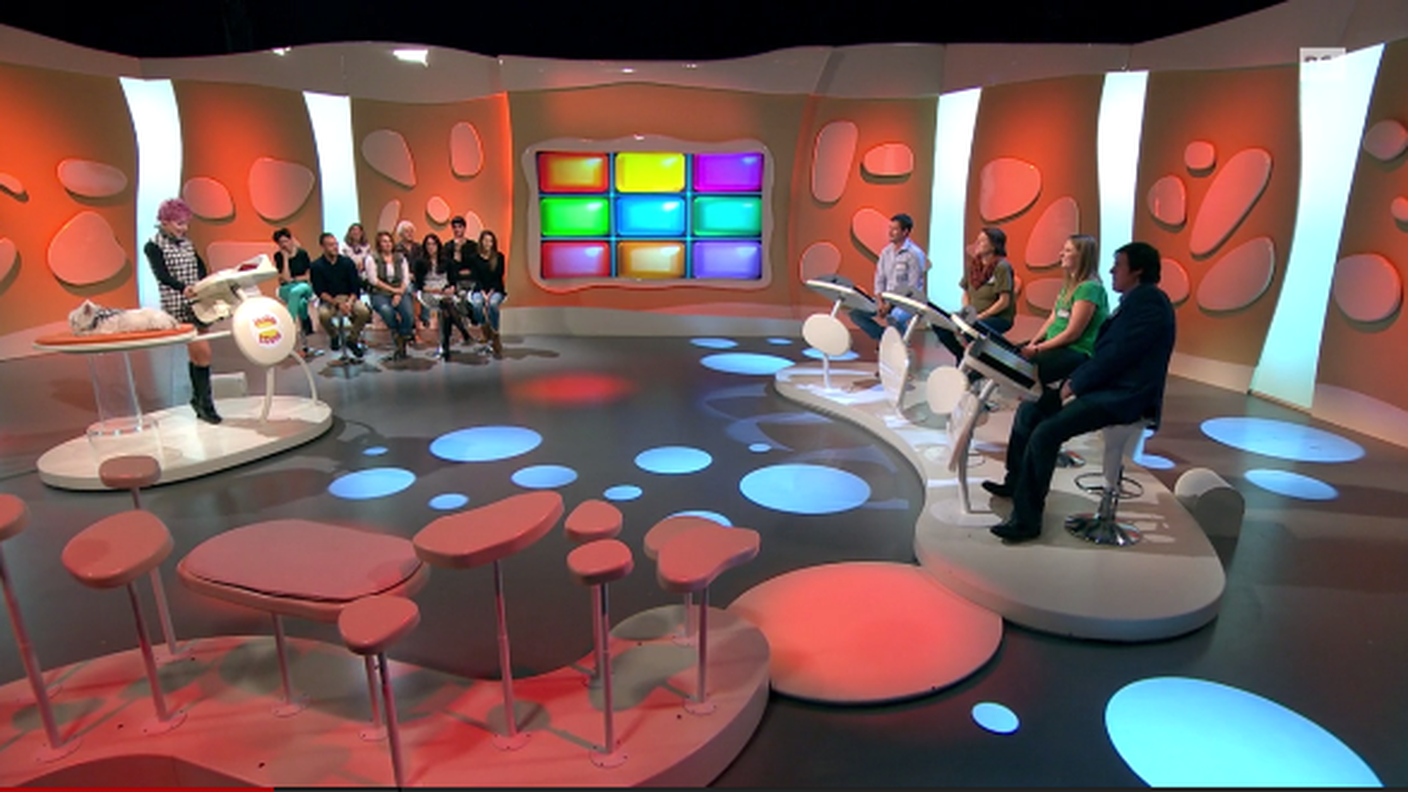 Molla l'osso 06-01-2017