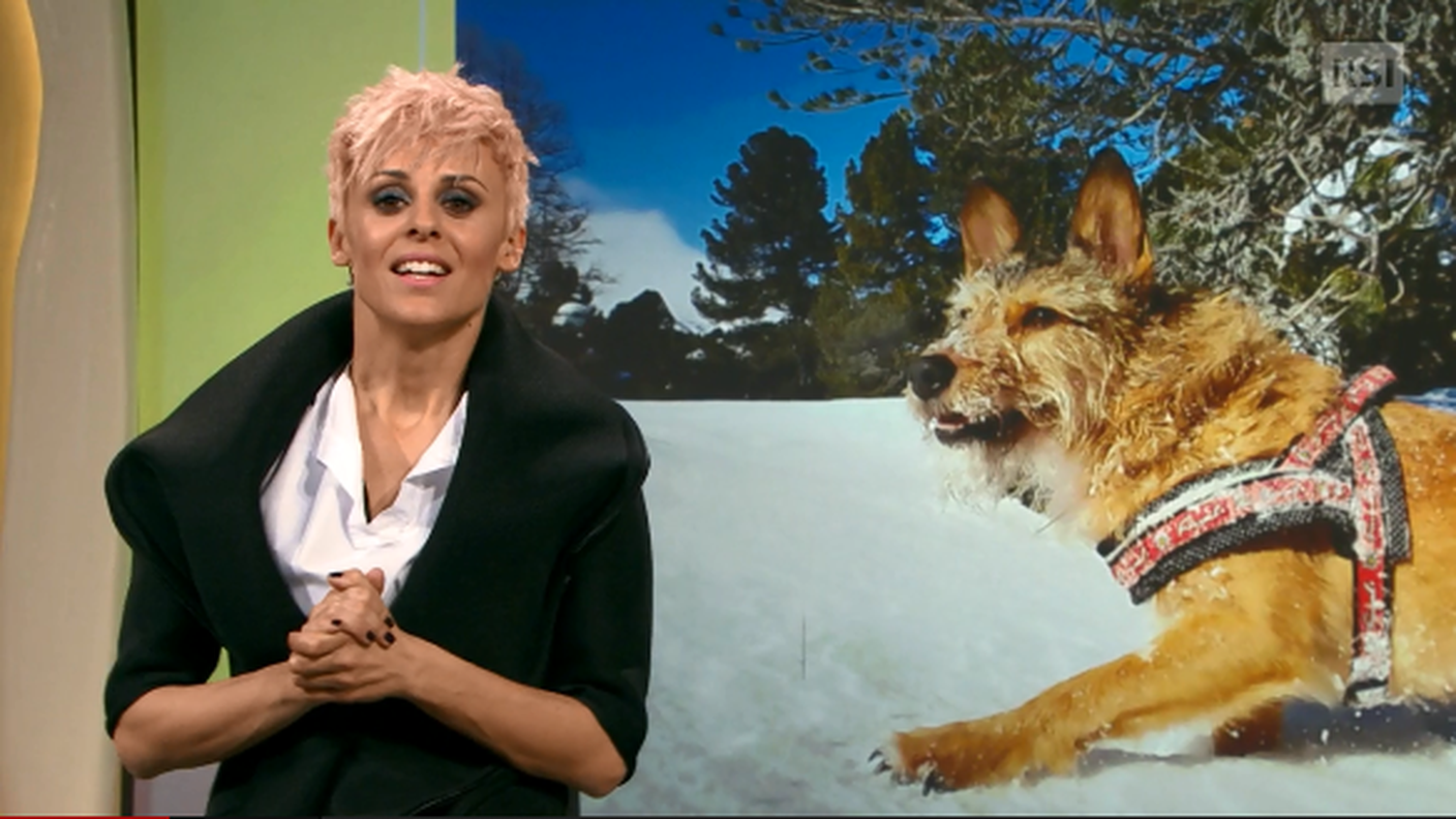 Molla l'osso 02-05-2018