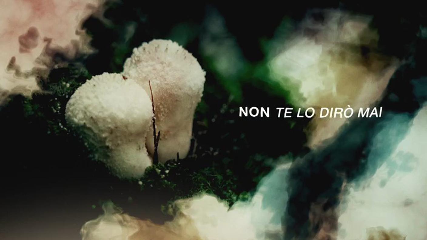 Non te lo dirò mai