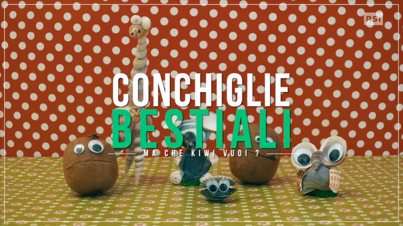 Conchiglie bestiali