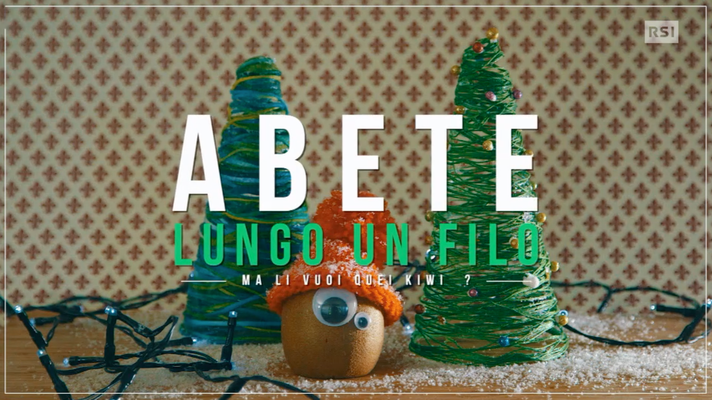 Abete lungo in filo