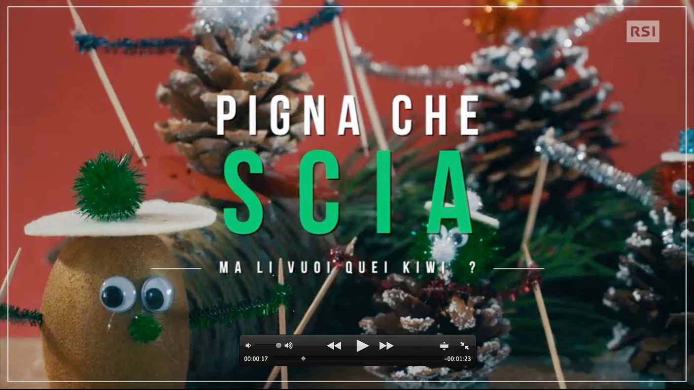 La pigna che scia