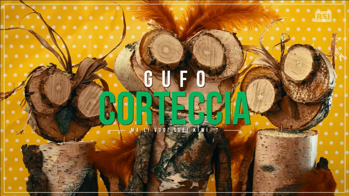 Gufo corteccia