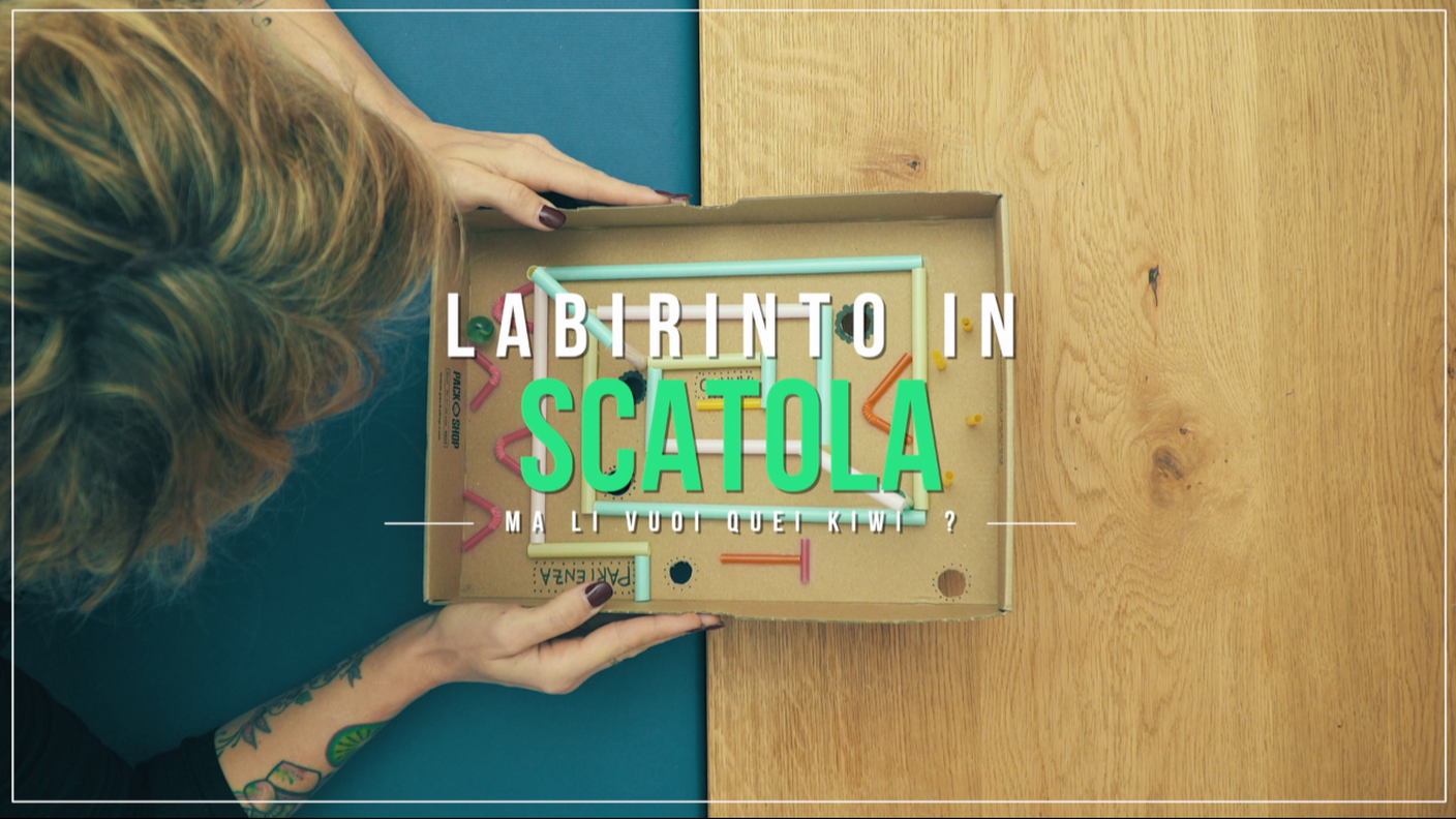 Labirinto in scatola
