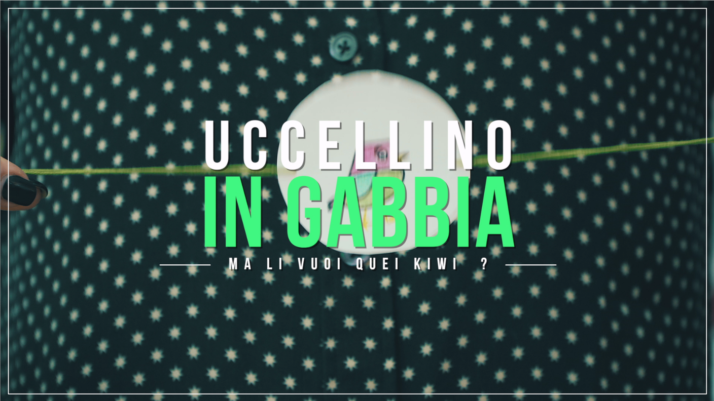 Uccellino in gabbia