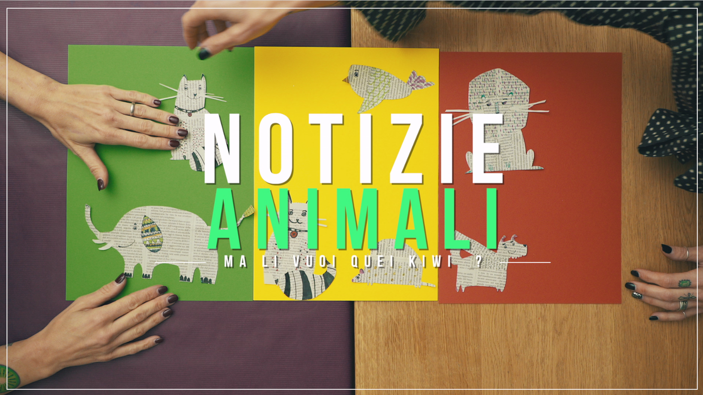 Notizie animali