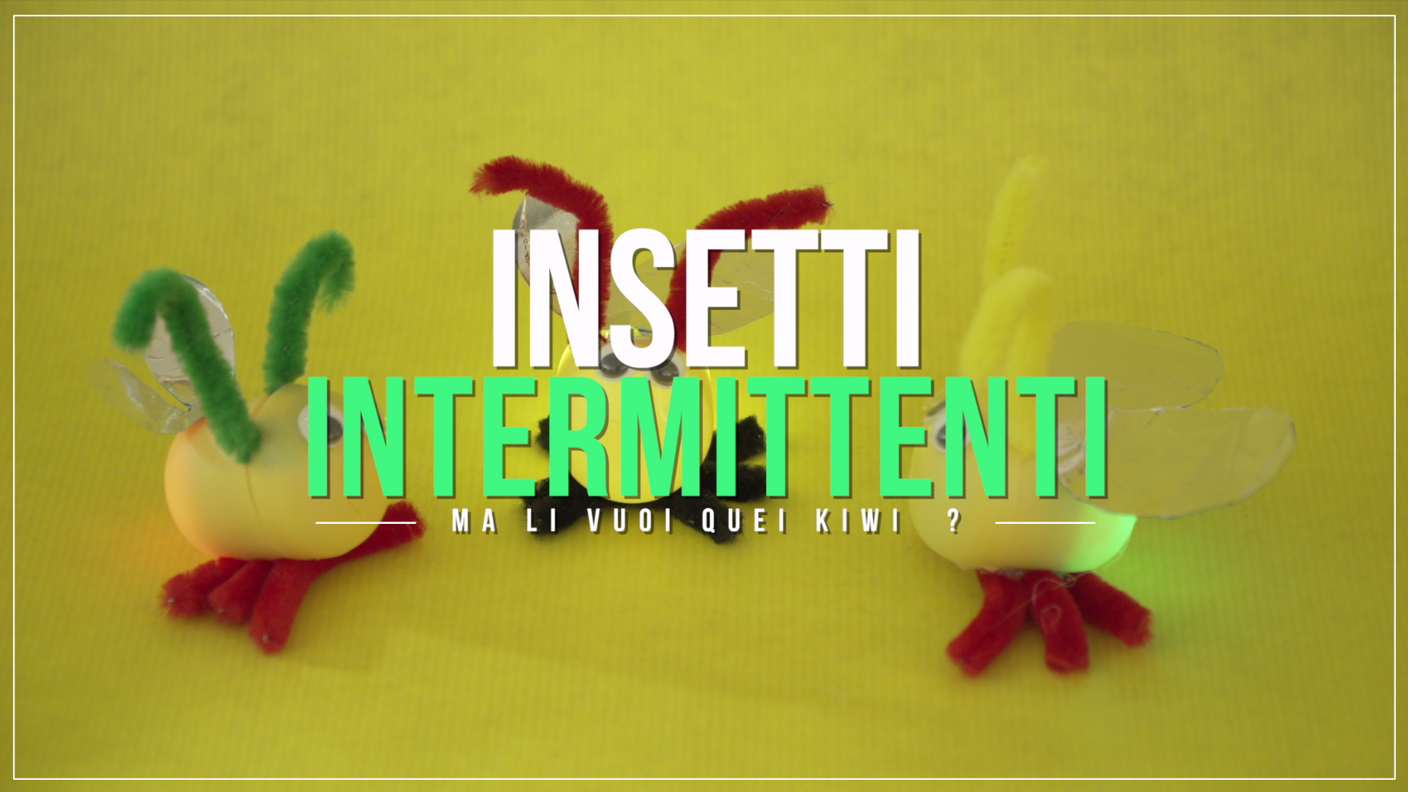 Insetti intermittenti