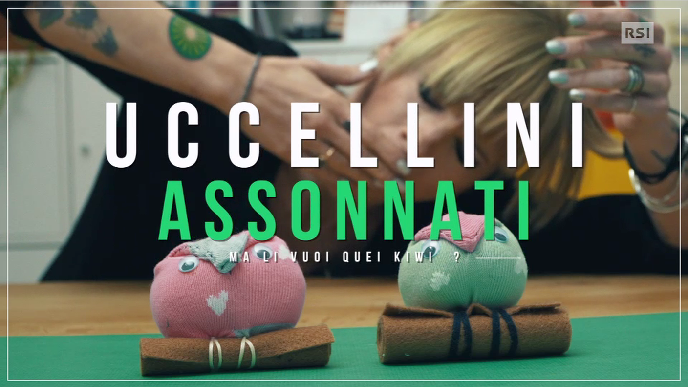 Uccellini assonnati