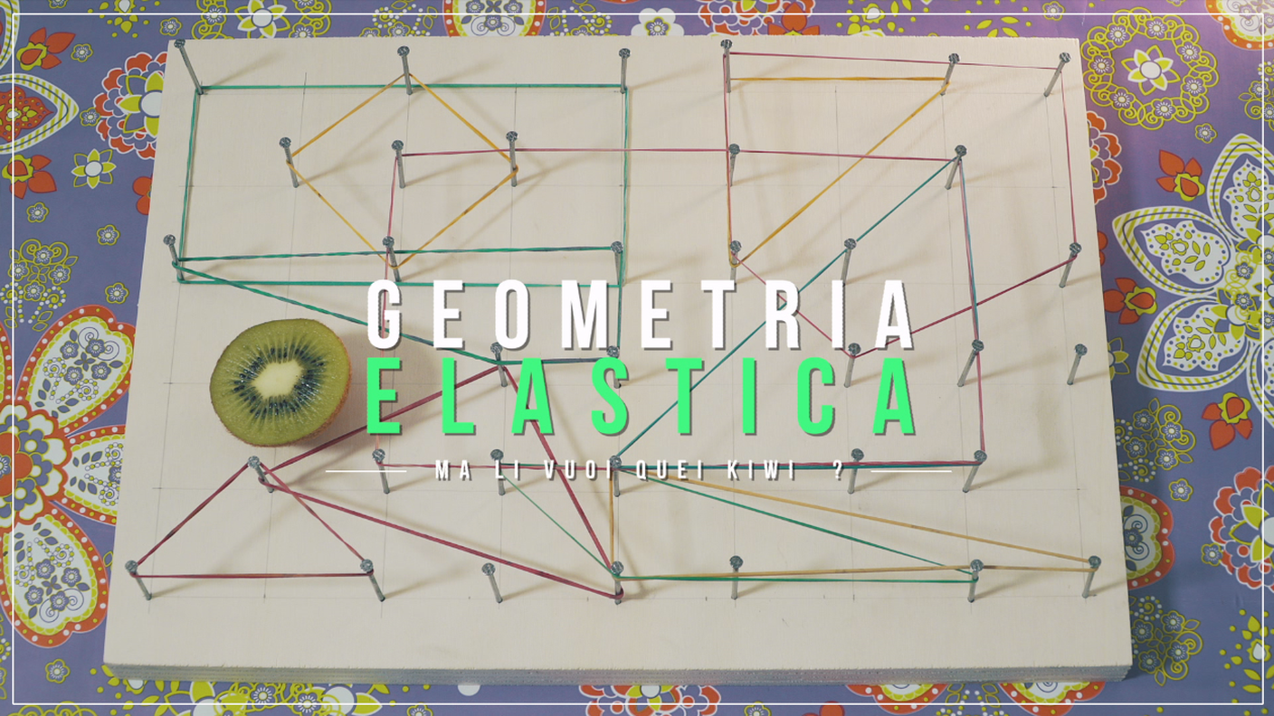 Geometria elastica