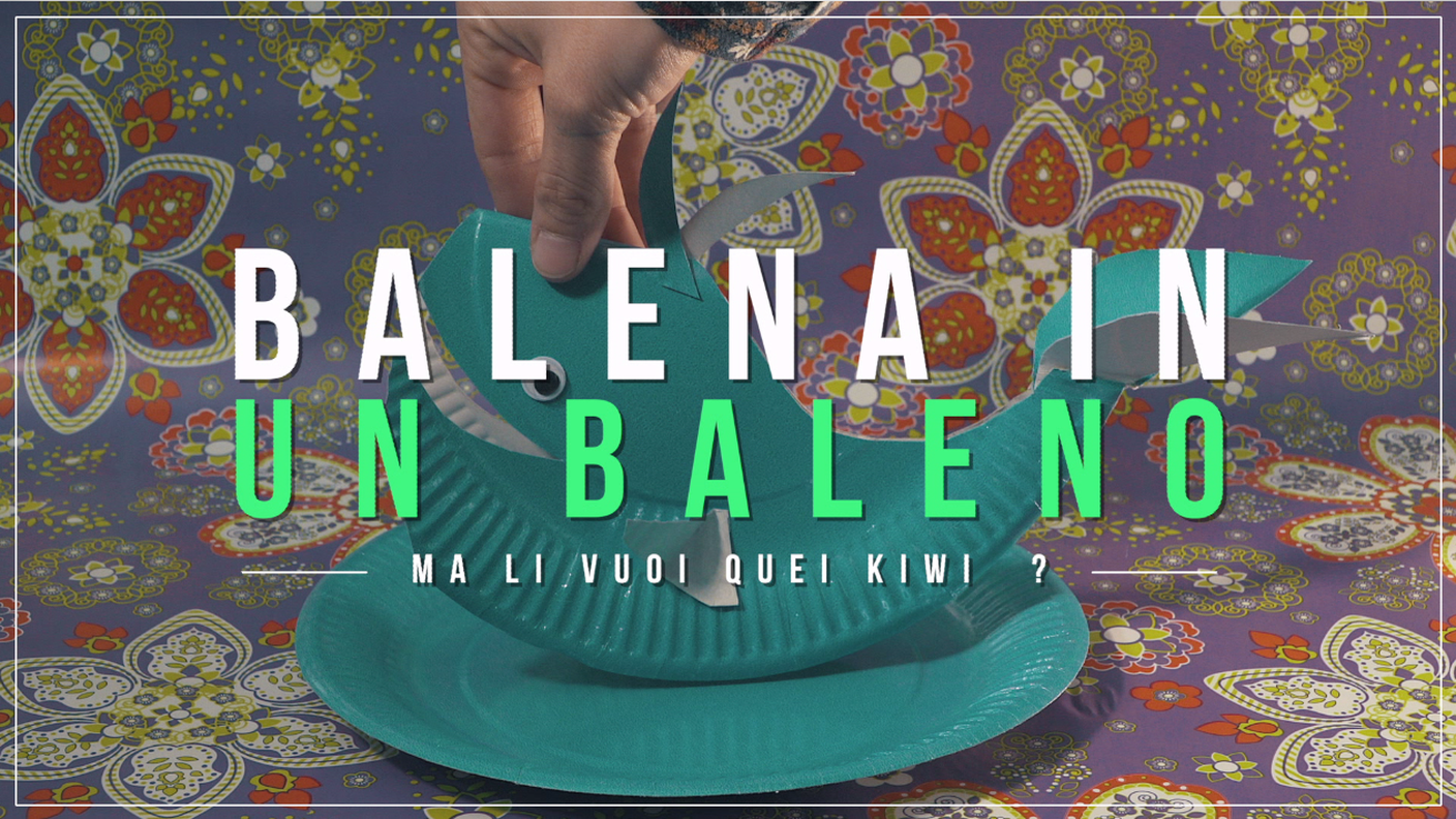 Balena in un baleno