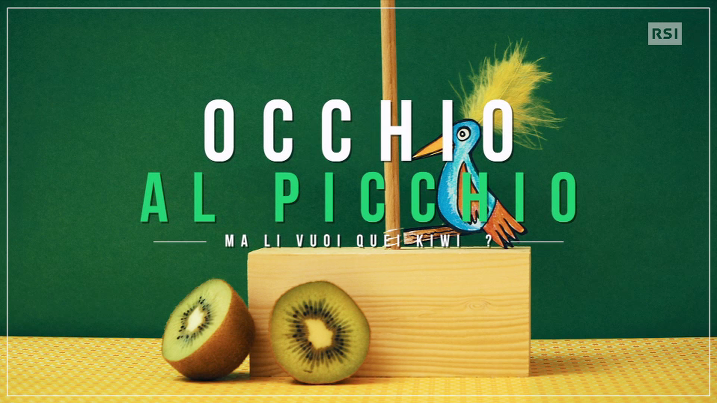 Occhio al picchio