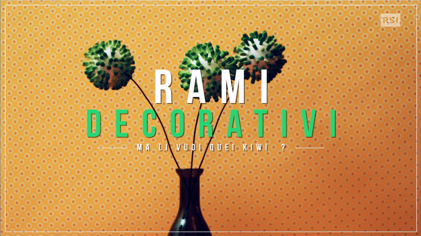 Rami decorativi