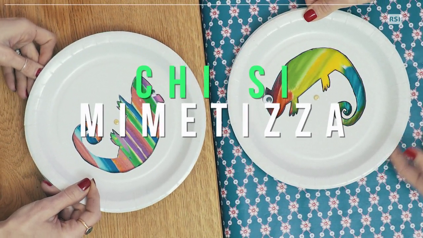 A00000232218_ITA 262_CHI_SI_MIMETIZZA.mov