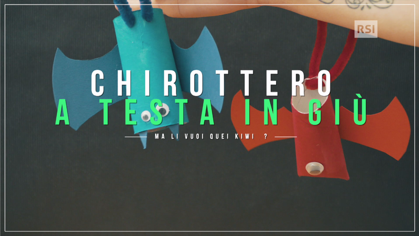Chirottero a testa in giù