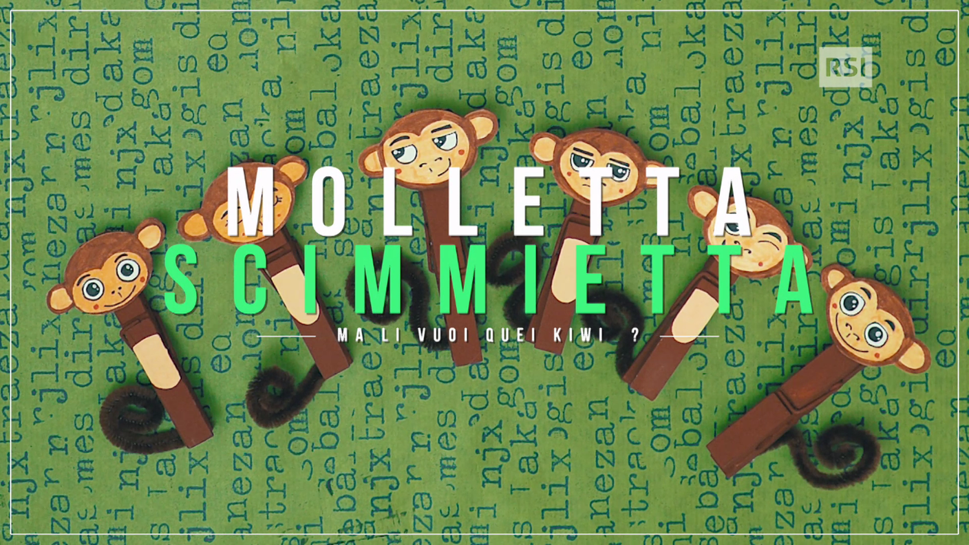Molletta scimmietta 