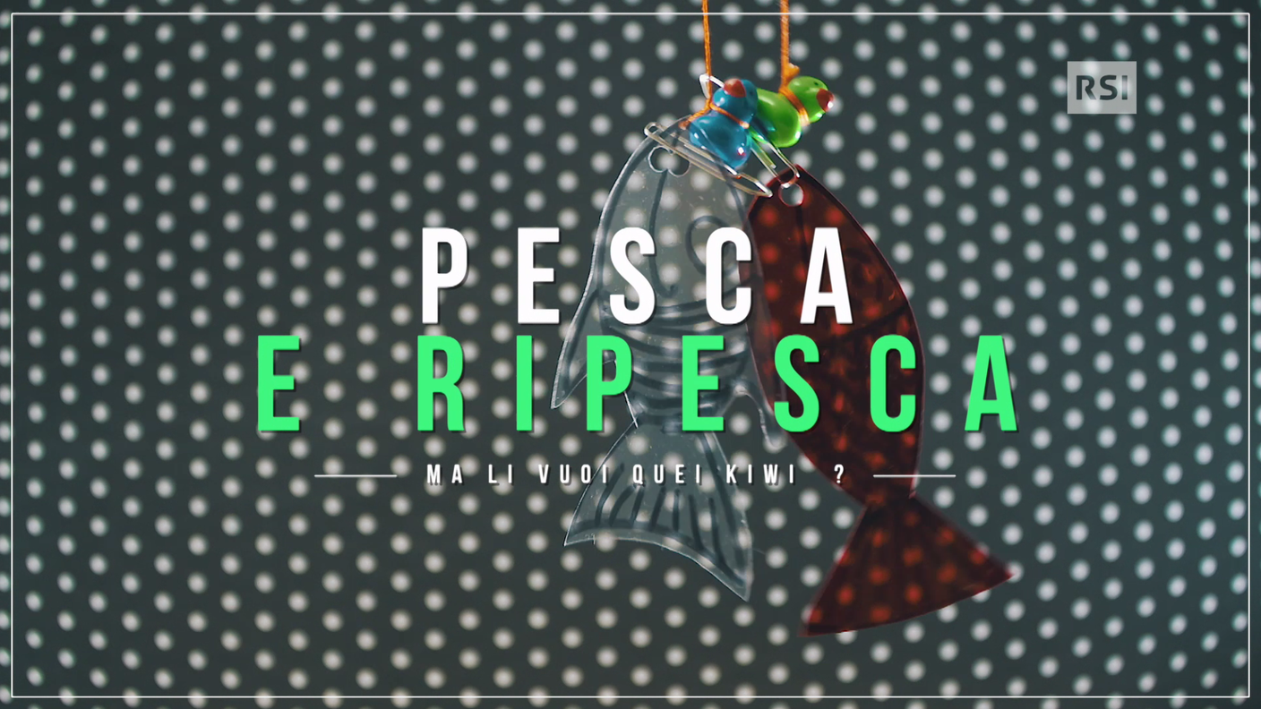Pesca e ripesca