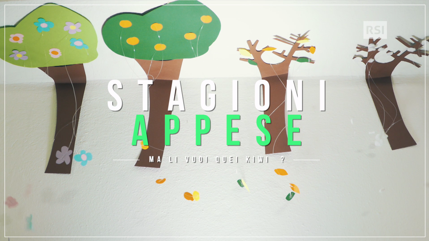 Stagioni appese