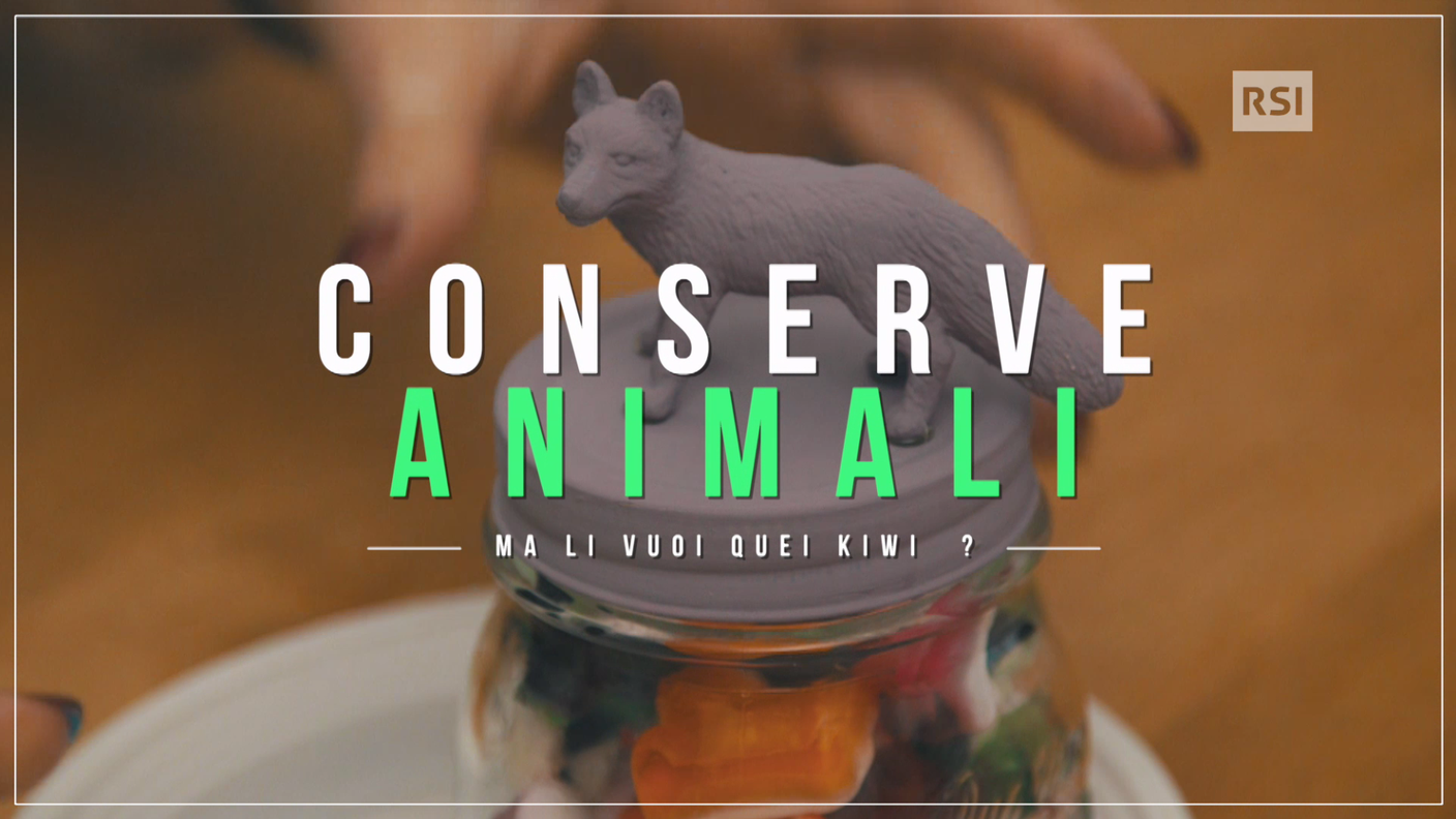 Conserve animali