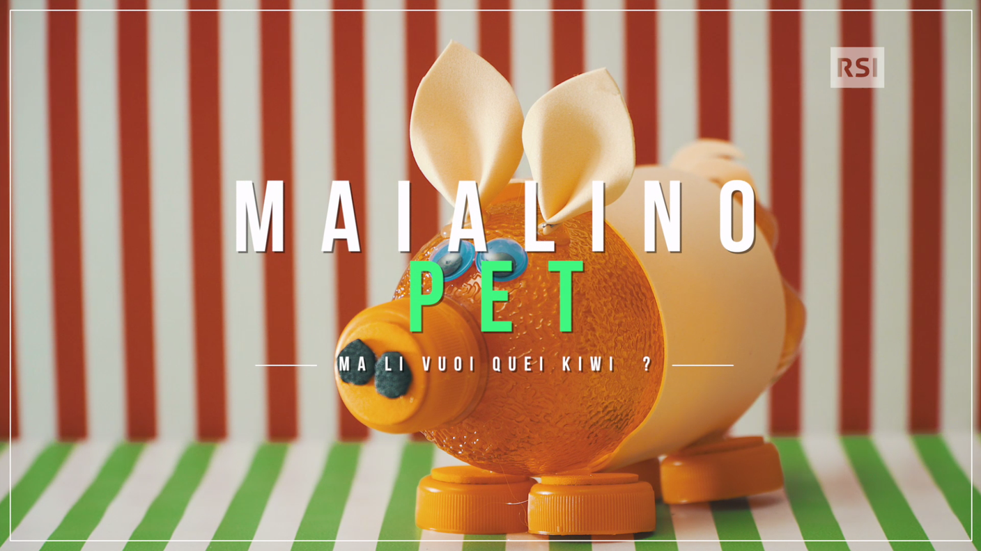 Maialino PET