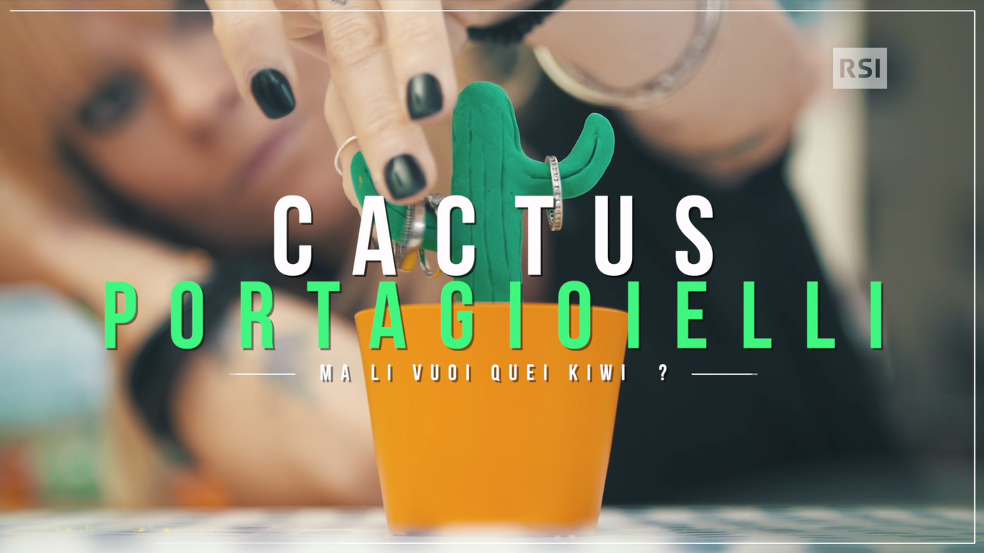 Cactus porta gioielli