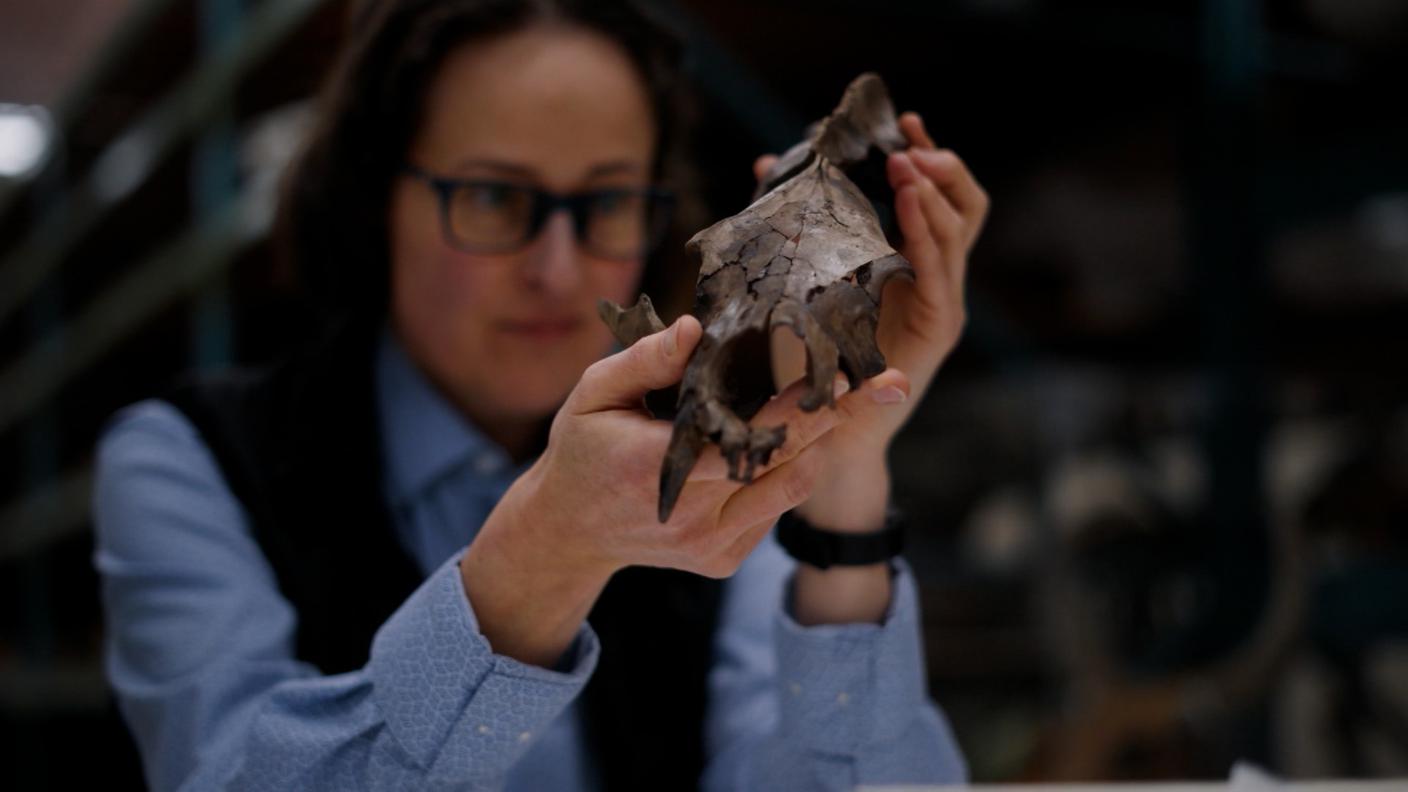 Caccia al DNA più antico