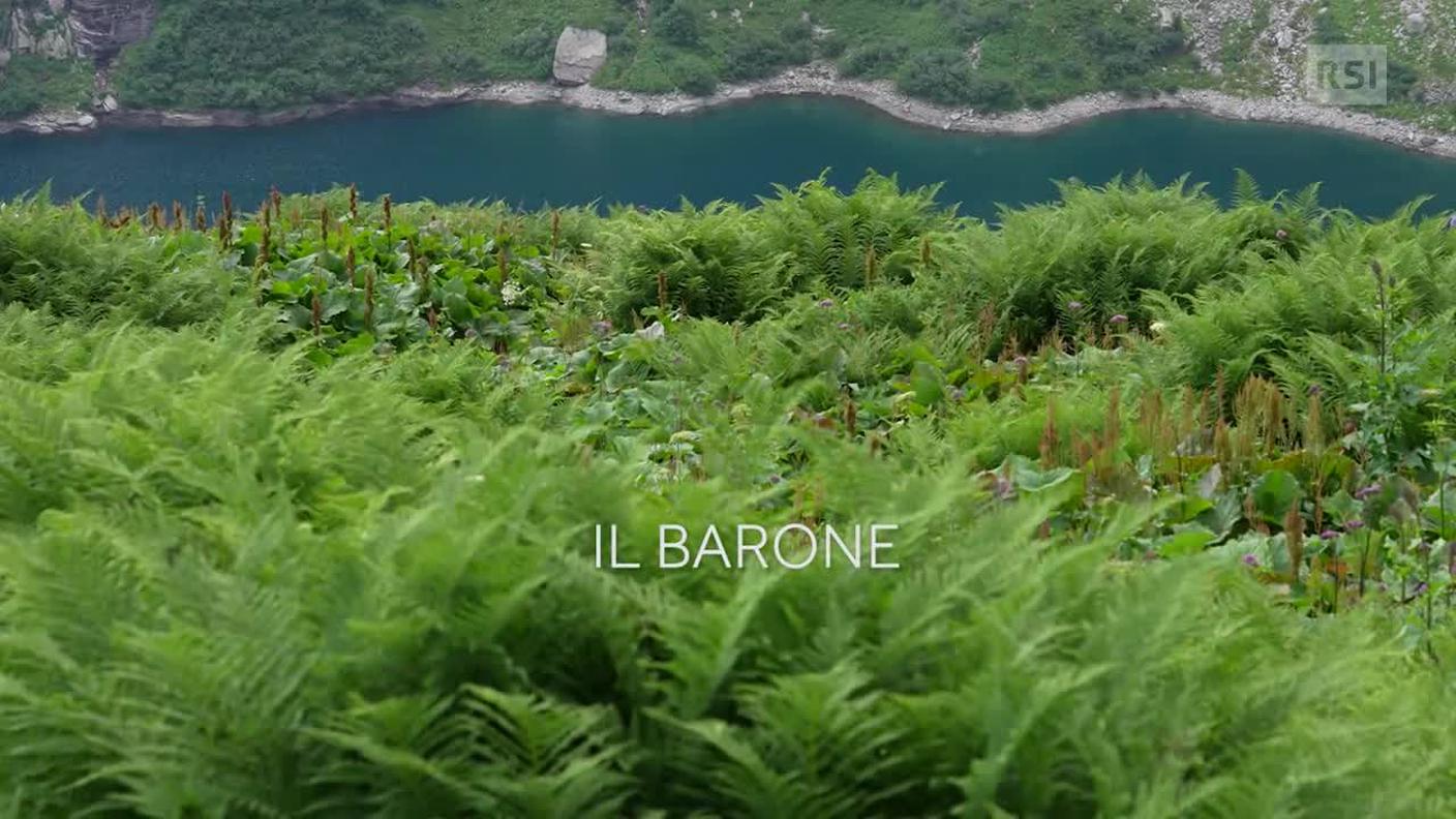 Il Barone