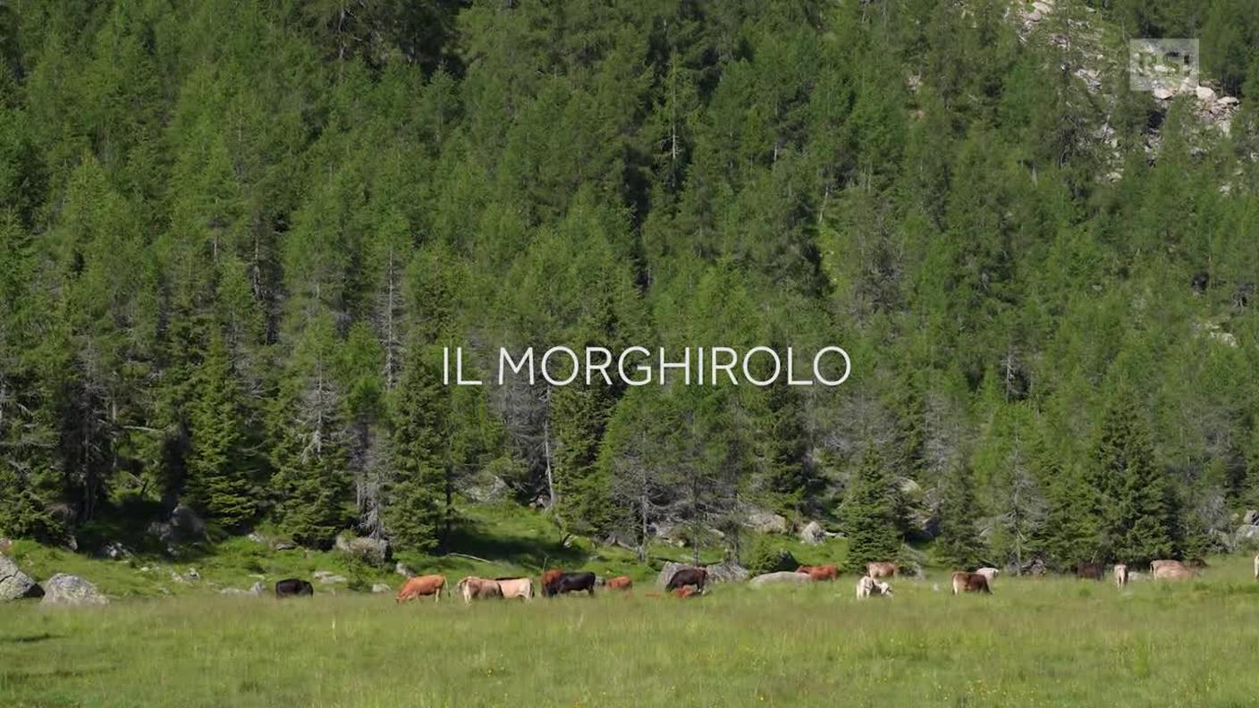 Il Morghirolo