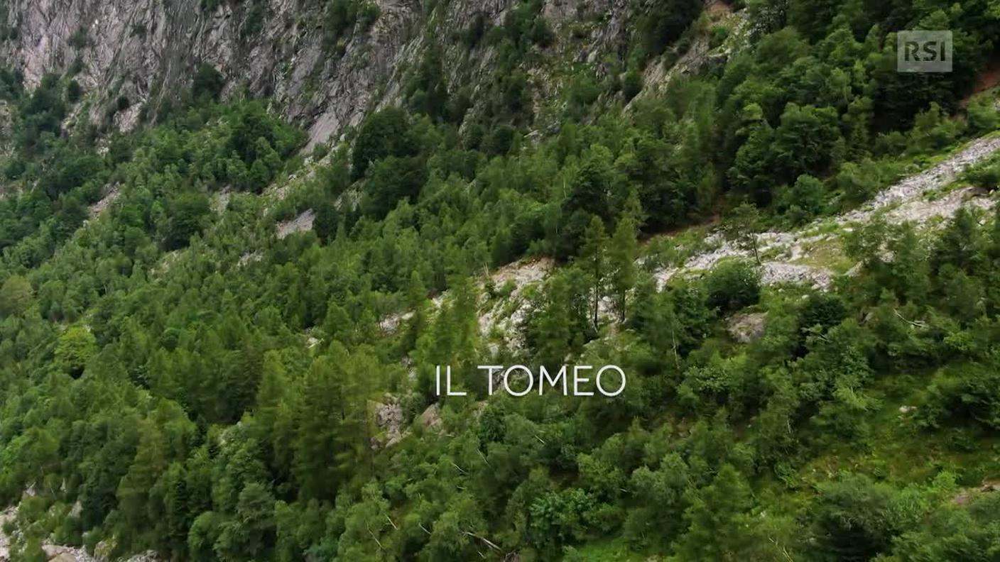 Il Tomeo