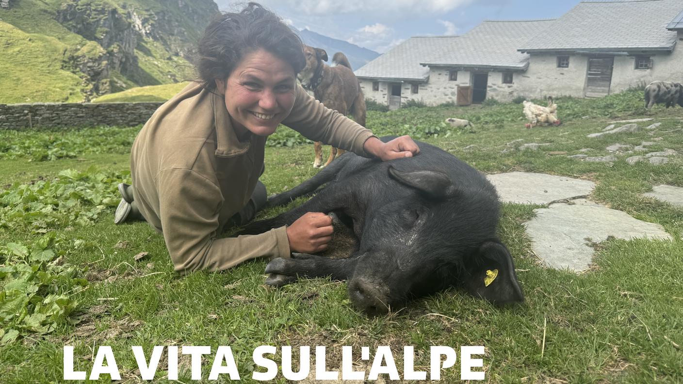 16:9 La vita sull'alpe