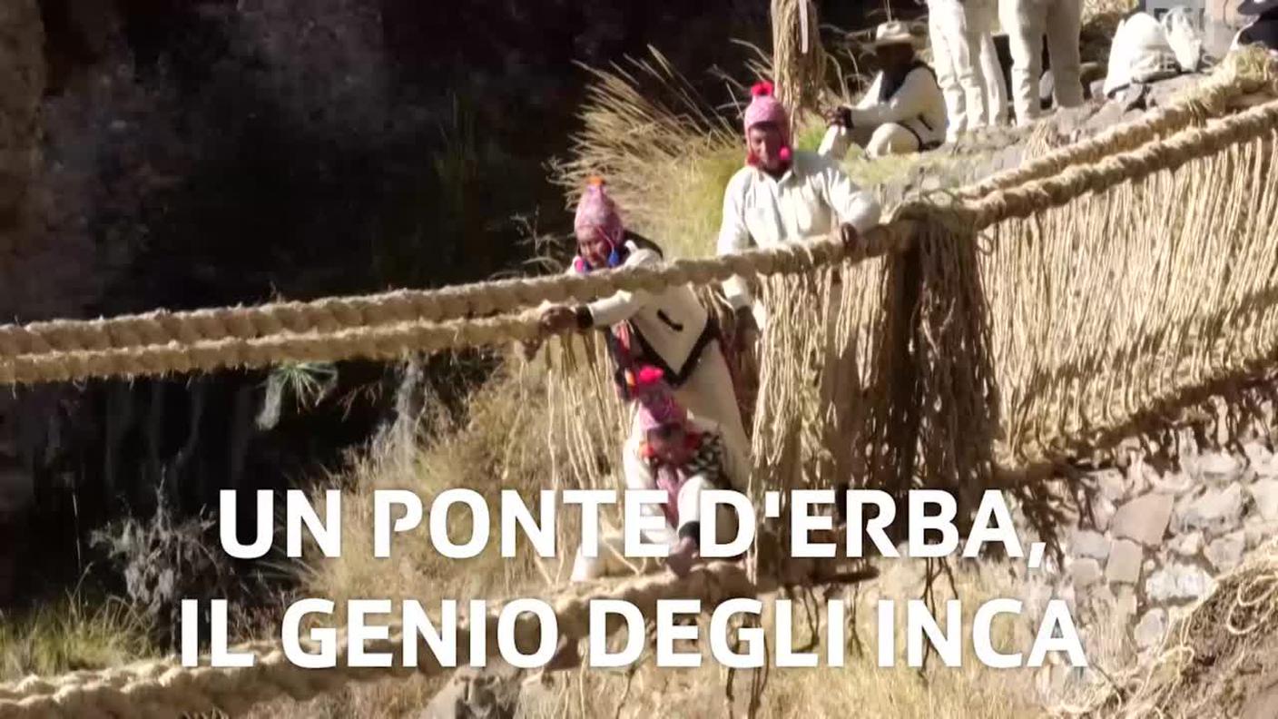 5000_8df6476a182eab264eecfaf32f272a62