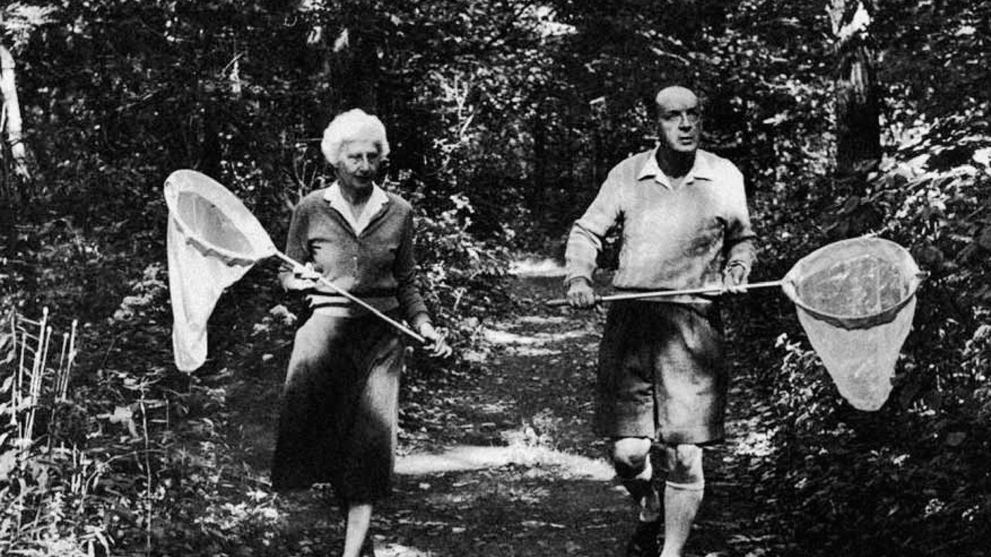 1958, Vladimir Nabokov a caccia di farfalle con la moglie